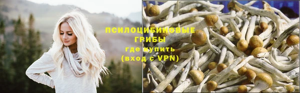 винт Корсаков