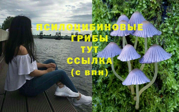 метадон Куйбышев