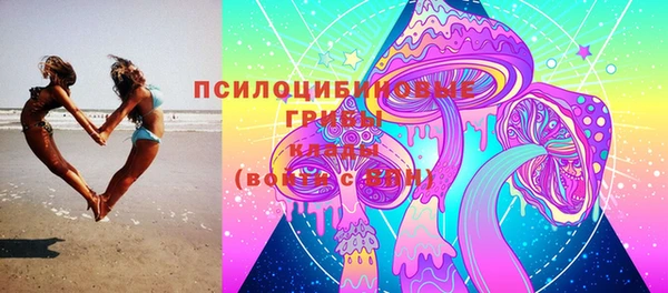 винт Корсаков